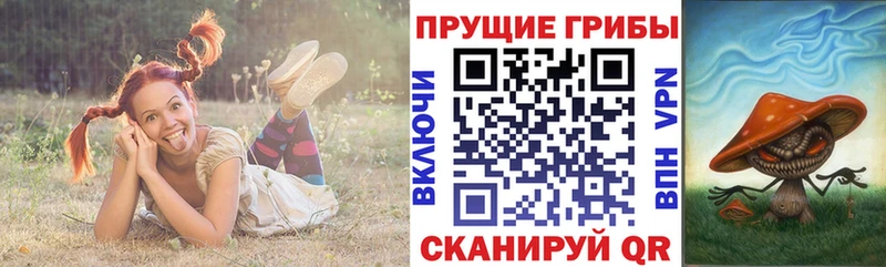 дарк нет как зайти  mega ссылки  Армянск  Псилоцибиновые грибы мухоморы 
